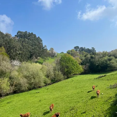Completa En Urdaibai * ברמאו