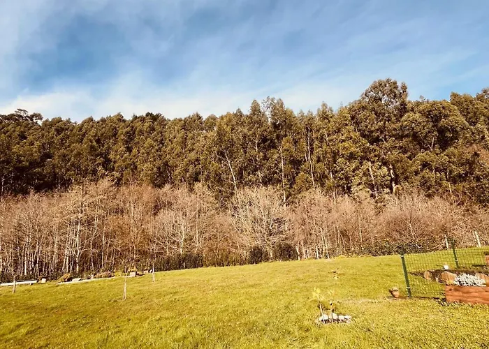 Completa En Urdaibai Bermeo