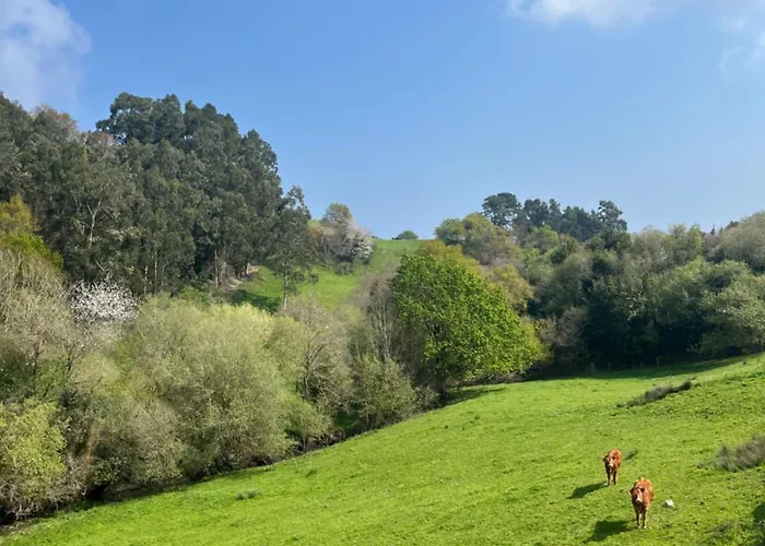 Completa En Urdaibai * Bermeo