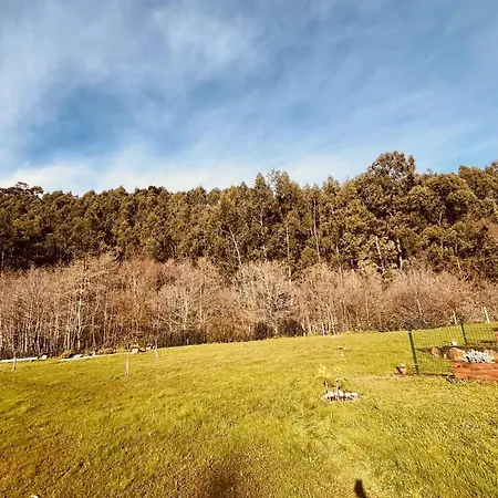 Completa En Urdaibai Μπερμέο